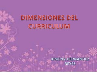 DIMENSIONES DEL CURRICULUM XIMENA HERNANDEZ REYES 
