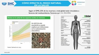 Informes SHC
CÓMO IMPACTA EL MEDIO NATURAL
EN LA SALUD
Según el OMS, 23% de los muertos a nivel global están vinculados a
factores del medioambiente. Factores que son alterables
 