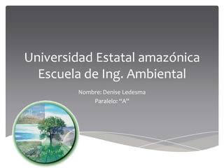 Universidad Estatal amazónica
  Escuela de Ing. Ambiental
        Nombre: Denise Ledesma
            Paralelo: “A”
 
