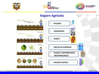 Seguro Agrícola
• HELADAS
• GRANIZADAS
• SEQUÍA
• EXCESO DE HUMEDAD
• PLAGAS Y ENFERMEDADES
• INCONTROLABLES
• VIENTOS FUERTES
 
