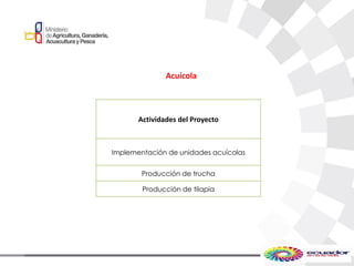 Acuícola
Actividades del Proyecto
Implementación de unidades acuícolas
Producción de trucha
Producción de tilapia
 