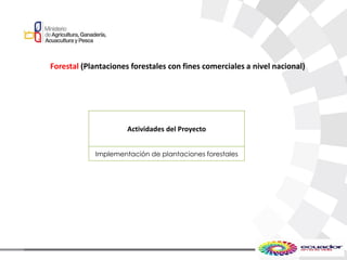 Forestal (Plantaciones forestales con fines comerciales a nivel nacional)
Actividades del Proyecto
Implementación de plantaciones forestales
 