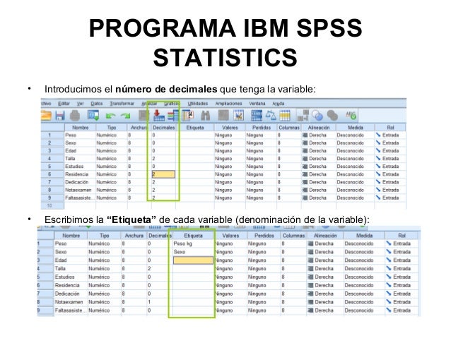 Programa SPSS