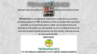PRONAMACHCS es una organización del Ministerio de Agricultura que inició sus
actividades en agosto de 1981. Actualmente cuenta con una importante experiencia
acumulada, que le ha permitido generar y validar una propuesta técnica y una
estrategia de intervención, que viene aplicando con éxito a lo largo de la sierra en la
lucha contra la desertificación y la pobreza rural. Este indicador refleja las acciones
de conservación del suelo.


El Proyecto Nacional de Manejo de Cuencas Hidrográficas y Conservación de Suelos
(PRONAMACHCS)
ORIGEN
137,399 FAMILIAS CAMPESINAS Y 5,557 COMITÉS CONSERVACIONISTAS
BENEFICIADOS
 