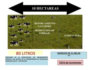 1
2
10
3
9
7
8
54
6
10 HECTAREAS
AGRICULTURA
80 LITROS
REPOBLAMIENTO
GANADERO
PRODUCCION DE
FORRAJE
RESULTADO DE LA CAPACITACION, DEL MEJORAMIENTO
GENETICO, DEL ACOPIO, DE LA TRANSFERENCIA DE TECNOLOGIA
(SANIDAD,SUELOS Y NUTRICION)
INGRESOS DE $1.085,00
2014
531% de incremento
 