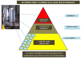 DE DONDE VIENE Y A DÓNDE VA LA LECHE QUE SE PRODUCE?
> 100 HECT
ENTRE 20 Y 100 HECT
< 1 HASTA20HECT
La mayor cantidad de leche proviene de los
productores que tienen menos de 20 Hectáreas
1.221.597 lt 22%
14.363 UPA´S
1.747.940 lt 33%
66.288 UPA´S
2.432.385 lt 45%
208.411 UPAS
 