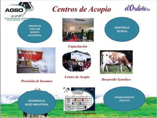 Este escenario ha cambiado en los últimos años para la
economía familiar de los pequeños productores de leche.
A continuación plantearemos nuestra experiencia en el
desarrollo rural de la producción lechera en Ecuador.
Centro de Acopio
Capacitación
Desarrollo Genético
Prevención Sanitaria
Provisión de Insumos
Centros de Acopio
ASISTENCIA
TECNICA
SEGURO DE
VIDA POR
MUERTE
ACCIDENTAL
FINANCIAMIENTO
CREDITOSDESARROLLO
AGRO INDUSTRIAL
 