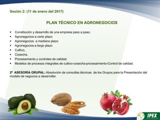 Sesión 2: (11 de enero del 2017)
PLAN TÉCNICO EN AGRONEGOCIOS
 Constitución y desarrollo de una empresa paso a paso.
 Agronegocios a corto plazo
 Agronegocios a mediano plazo
 Agronegocios a largo plazo
 Cultivo,
 Cosecha.
 Procesamiento y controles de calidad.
 Modelos de procesos integrales de cultivo-cosecha-procesamiento-Control de calidad.
2ª ASESORÍA GRUPAL: Absolución de consultas técnicas de los Grupos para la Presentación del
modelo de negocios a desarrollar.
 