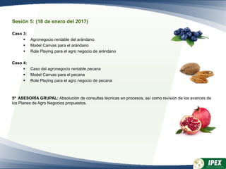 Sesión 5: (18 de enero del 2017)
Caso 3:
 Agronegocio rentable del arándano
 Model Canvas para el arándano
 Role Playing para el agro negocio de arándano
Caso 4:
 Caso del agronegocio rentable pecana
 Model Canvas para el pecana
 Role Playing para el agro negocio de pecana
5ª ASESORÍA GRUPAL: Absolución de consultas técnicas en procesos, así como revisión de los avances de
los Planes de Agro Negocios propuestos.
 