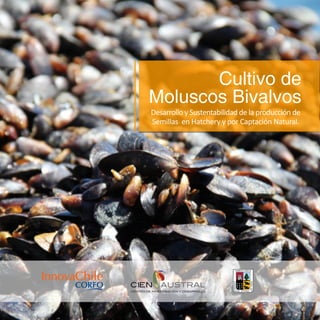 Cultivo de
Moluscos Bivalvos
Desarrollo y Sustentabilidad de la producción de
Semillas en Hatchery y por Captación Natural.
 
