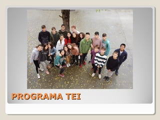 PROGRAMA TEIPROGRAMA TEI
 