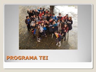 PROGRAMA TEIPROGRAMA TEI
 