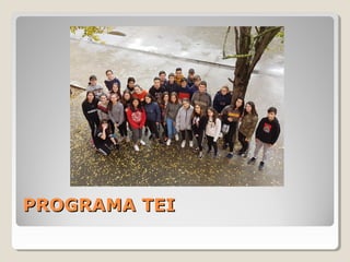 PROGRAMA TEIPROGRAMA TEI
 