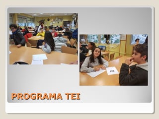 PROGRAMA TEIPROGRAMA TEI
 