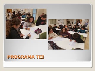 PROGRAMA TEIPROGRAMA TEI
 