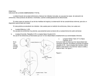 PRÁCTICA
CÁLCULO DE LA EDAD EMBRIONARIA Y FETAL
La determinación de la edad embrionaria y fetal por los métodos manuales, se usa para los casos de valoración de
embriones o fetos producto de abortos o mortinatos, cuando la edad gestacional es desconocida.
En estos casos se requiere el uso de las medidas de longitud y la observación de las características externas, para dar un
diagnóstico aproximado de la edad.
En esta práctica se estudiarán los métodos más usados para la medición de embriones y fetos, los cuales son:
a. Longitud Máxima: (L-M):
Se usa para los embriones muy jóvenes, que presentan poca curvatura de su cuerpo(menos de cuatro semanas)
b. Longitud Coronilla- Rabadilla (C-R) o Longitud Apico Caudal (A-C):
Se usa en los embriones ya flexionados que aún no han desarrollado completamente sus extremidades inferiores.
c. Longitud Vértex-Talón (V-T) ó Ápico
Calcañar (A-C):
Es la forma de medir los fetos que han desarrollado bien
sus miembros inferiores. Se obtiene sumando la longitud
cráneo- rabadilla (C-R), más la longitud del miembro inferior
tomada desde la articulación coxo femoral, hasta la rodilla y
de allí hasta el talón. Ver figura 1.
Figura 1.
 