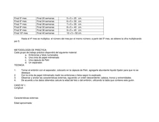 Final 5º mes Final 20 semanas 5 x 5 = 25 cm.
Final 6º mes Final 24 semanas 6 x 5 = 30 cm.
Final 7º mes Final 28 semanas 7 x 5 = 35 cm.
Final 8º mes Final 32 semanas 8 x 5 = 40 cm.
Final 9º mes Final 36 semanas 9 x 5 = 45 cm.
Final 10º mes Final 40 semanas 10 x 5 = 50 cm.
Hasta el 4º mes se multiplica el número del mes por el mismo número; a partir del 5º mes, se obtiene la cifra multiplicando
por 5.
METODOLOGÍA DE PRÁCTICA:
Cada grupo de trabajo práctico dispondrá del siguiente material:
a. Embriones y fetos numerados
b. Una cinta de papel milimetrado
c. Una cápsula de Petri
d. Un separador.
TECNICA:
1. Tomar el embrión con el separador, colocarlo en la cápsula de Petri, agregarle abundante líquido fijador para que no se
deseque.
2. Con la cinta de papel milimetrado medir los embriones o fetos según lo explicado.
3. Observar y anotar las características externas, siguiendo un orden descendente: cabeza, tronco y extremidades.
4. De acuerdo a los datos obtenidos calcule la edad del feto o del embrión, utilizando la tabla que contiene este guión.
CASO Nº 1:
Longitud:
Características externas:
Edad aproximada:
 
