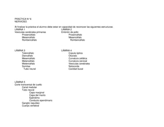PRACTICA N°6
NERVIOSO
Al finalizar la práctica el alumno debe estar en capacidad de reconocer las siguientes estructuras:
LÁMINA 1
Vesículas cerebrales primarias
Prosencéfalo
Mesencéfalo
Rombencéfalo
LÁMINA 2
Embrión de pollo
Prosencéfalo
Mesencéfalo
Rombencéfalo
LÁMINA 3
Telencéfalo
Diencéfalo
Mesencéfalo
Metencéfalo
Mielencéfalo
Somitas
Tubo neural
LÁMINA 4
Cúpula óptica
Otocisto
Curvatura cefálica
Curvatura cervical
Vesículas cerebrales
Notocorda
Cavidad bucal
LÁMINA 5
Corte transversal de cuello
Canal medular
Tubo neural
Capa marginal
Capa del manto
Epéndimo
Conducto ependimario
Ganglio raquídeo
Cuerpo vertebral
 
