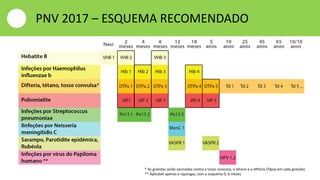 PNV 2017 – ESQUEMA RECOMENDADO
* As grávidas serão vacinadas contra a tosse convulsa, o tétano e a difteria (Tdpa) em cada gravidez
** Aplicável apenas a raparigas, com o esquema 0, 6 meses
 