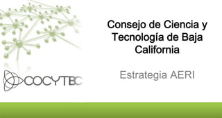 Consejo de Ciencia y
 Tecnología de Baja
     California

  Estrategia AERI
 