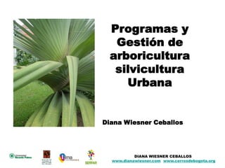 Programas y
   Gestión de
  arboricultura
   silvicultura
     Urbana


Diana Wiesner Ceballos




           DIANA WIESNER CEBALLOS
  www.dianawiesner.com www.cerrosdebogota.org
 