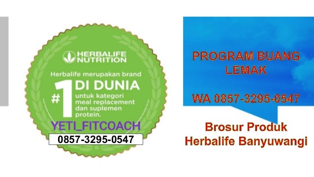 Program buang lemak, wa 0857 32950547, brosur produk