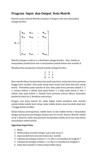 Program Input dan output data matrik | PDF