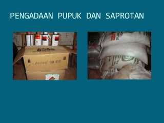 PENGADAAN PUPUK DAN SAPROTAN