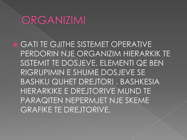 Programet kompjuterike | PPTX