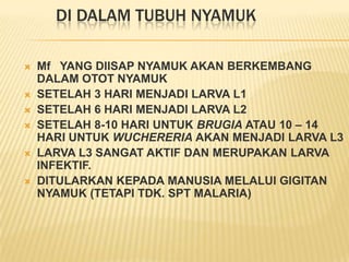 DI DALAM TUBUH NYAMUK

   Mf YANG DIISAP NYAMUK AKAN BERKEMBANG
    DALAM OTOT NYAMUK
   SETELAH 3 HARI MENJADI LARVA L1
   SETELAH 6 HARI MENJADI LARVA L2
   SETELAH 8-10 HARI UNTUK BRUGIA ATAU 10 – 14
    HARI UNTUK WUCHERERIA AKAN MENJADI LARVA L3
   LARVA L3 SANGAT AKTIF DAN MERUPAKAN LARVA
    INFEKTIF.
   DITULARKAN KEPADA MANUSIA MELALUI GIGITAN
    NYAMUK (TETAPI TDK. SPT MALARIA)
 
