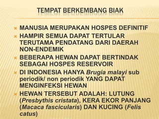 TEMPAT BERKEMBANG BIAK

   MANUSIA MERUPAKAN HOSPES DEFINITIF
   HAMPIR SEMUA DAPAT TERTULAR
    TERUTAMA PENDATANG DARI DAERAH
    NON-ENDEMIK
   BEBERAPA HEWAN DAPAT BERTINDAK
    SEBAGAI HOSPES RESERVOIR
   DI INDONESIA HANYA Brugia malayi sub
    periodik/ non periodik YANG DAPAT
    MENGINFEKSI HEWAN
   HEWAN TERSEBUT ADALAH: LUTUNG
    (Presbythis cristata), KERA EKOR PANJANG
    (Macaca fascicularis) DAN KUCING (Felis
    catus)
 