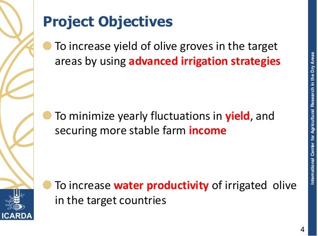 Project Outcomes and Achievements