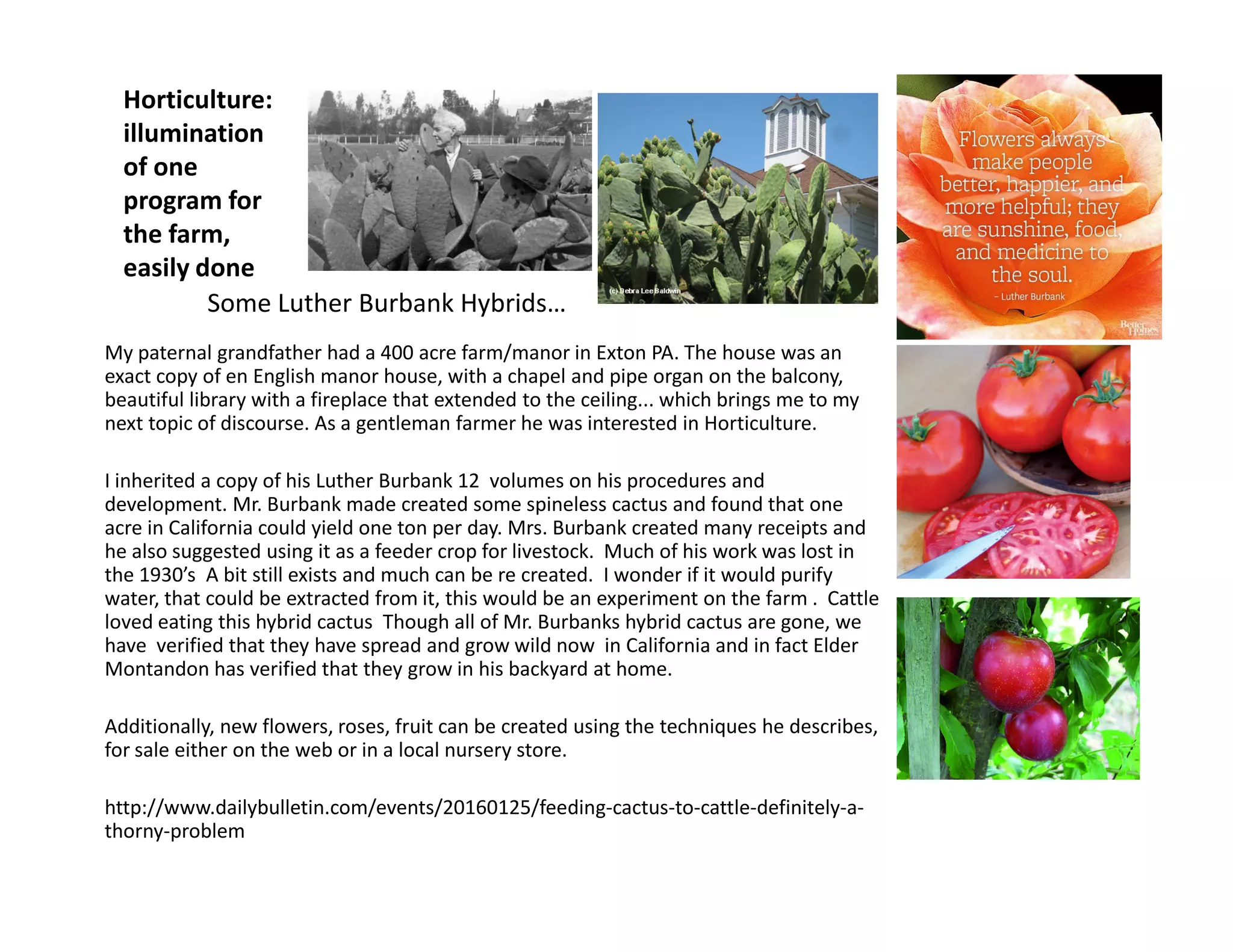 Horticulture:
illumination
of one
program for
the farm,
easily done
My paternal grandfather had a 400 acre farm/manor in Exton PA. The house was an
exact copy of en English manor house, with a chapel and pipe organ on the balcony,
beautiful library with a fireplace that extended to the ceiling... which brings me to my
next topic of discourse. As a gentleman farmer he was interested in Horticulture.
I inherited a copy of his Luther Burbank 12 volumes on his procedures and
Some Luther Burbank Hybrids…
I inherited a copy of his Luther Burbank 12 volumes on his procedures and
development. Mr. Burbank made created some spineless cactus and found that one
acre in California could yield one ton per day. Mrs. Burbank created many receipts and
he also suggested using it as a feeder crop for livestock. Much of his work was lost in
the 1930’s A bit still exists and much can be re created. I wonder if it would purify
water, that could be extracted from it, this would be an experiment on the farm . Cattle
loved eating this hybrid cactus Though all of Mr. Burbanks hybrid cactus are gone, we
have verified that they have spread and grow wild now in California and in fact Elder
Montandon has verified that they grow in his backyard at home.
Additionally, new flowers, roses, fruit can be created using the techniques he describes,
for sale either on the web or in a local nursery store.
http://www.dailybulletin.com/events/20160125/feeding-cactus-to-cattle-definitely-a-
thorny-problem
 