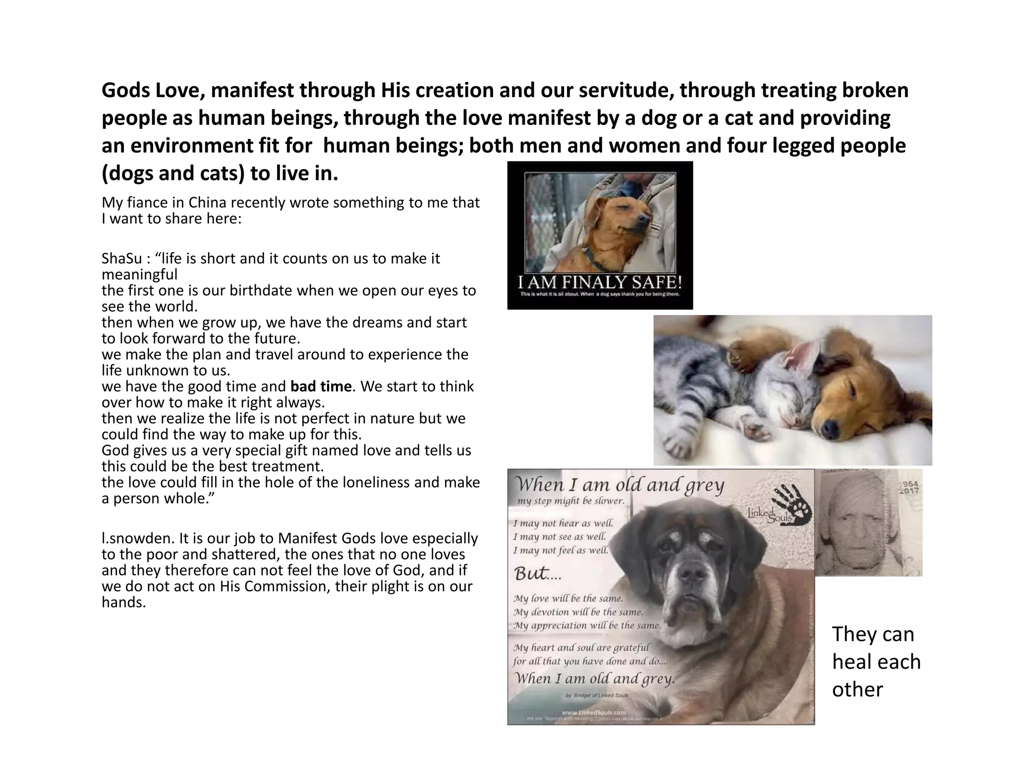 Gods Love, manifest through His creation and our servitude, through treating broken
people as human beings, through the love manifest by a dog or a cat and providing
an environment fit for human beings; both men and women and four legged people
(dogs and cats) to live in.
My fiance in China recently wrote something to me that
I want to share here:
ShaSu : “life is short and it counts on us to make it
meaningful
the first one is our birthdate when we open our eyes to
see the world.
then when we grow up, we have the dreams and start
to look forward to the future.
we make the plan and travel around to experience the
life unknown to us.
we have the good time and bad time. We start to think
over how to make it right always.
we have the good time and bad time. We start to think
over how to make it right always.
then we realize the life is not perfect in nature but we
could find the way to make up for this.
God gives us a very special gift named love and tells us
this could be the best treatment.
the love could fill in the hole of the loneliness and make
a person whole.”
l.snowden. It is our job to Manifest Gods love especially
to the poor and shattered, the ones that no one loves
and they therefore can not feel the love of God, and if
we do not act on His Commission, their plight is on our
hands.
They can
heal each
other
 