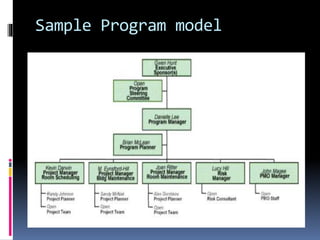 Program governance Structure | PPTX