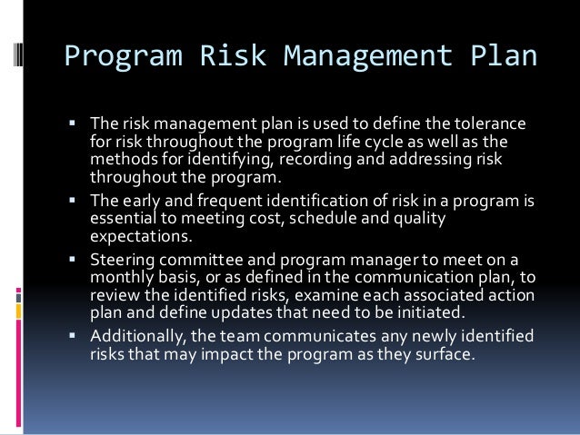 Program governance Structure