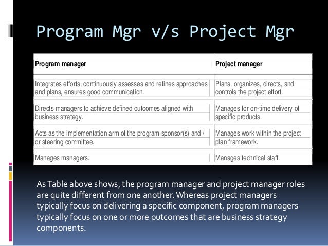 Program governance Structure