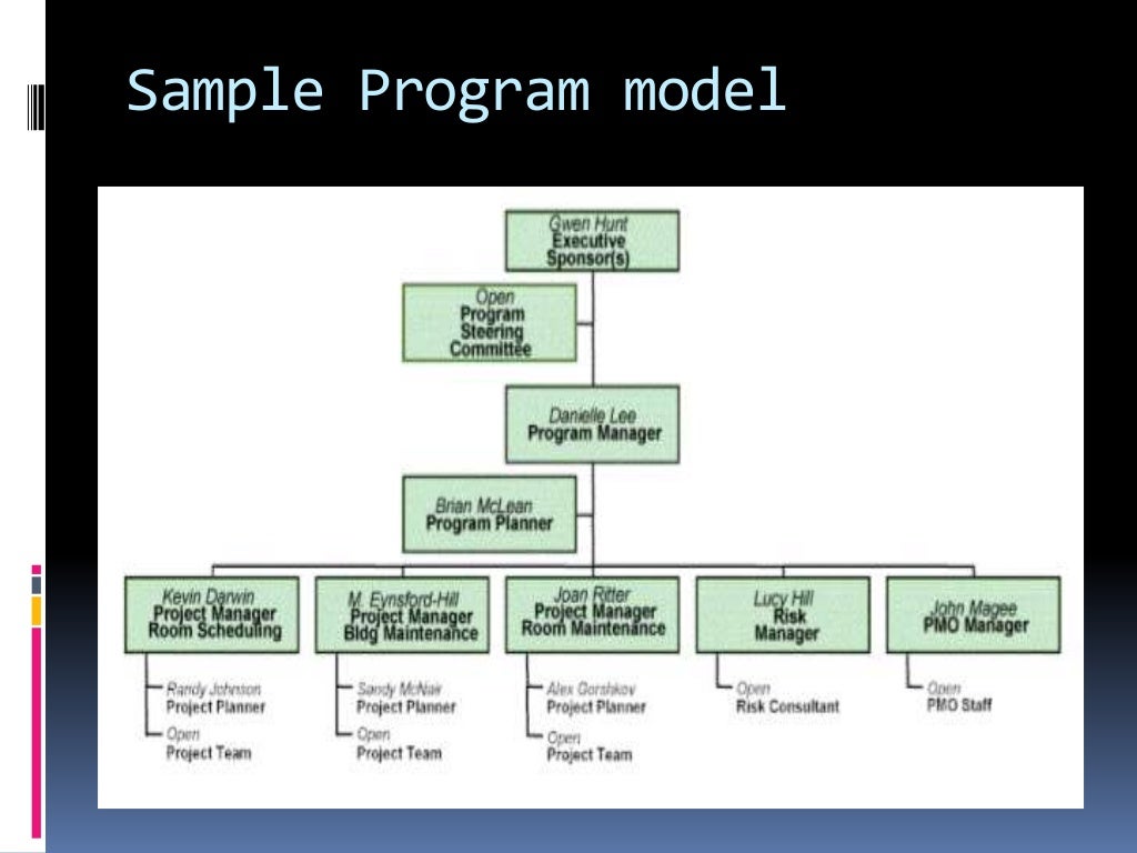 Program governance Structure