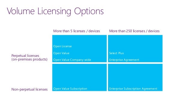 Microsoft Enterprise Agreement Perpetual License Rights