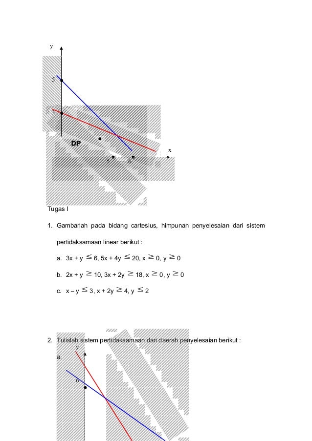 program linear program linear