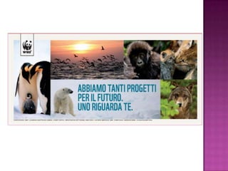 Programma 2014 WWF Italia: Scegli dove mettere il cuore