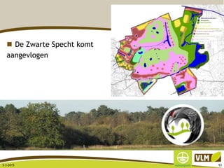  De Zwarte Specht komt
aangevlogen
3-3-2015 93
 