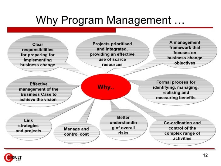 program management program management