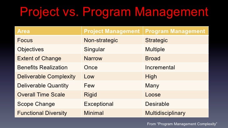 Program management skills