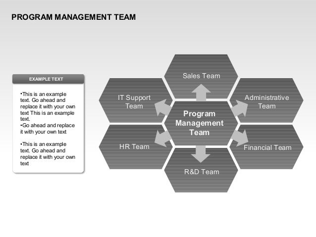 Program Management Team PowerPoint Charts