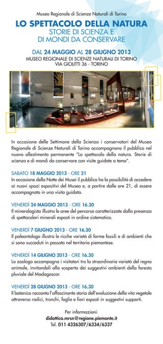 Museo Regionale di Scienze Naturali di Torino
In occasione delle Settimane della Scienza i conservatori del Museo
Regionale di Scienze Naturali di Torino accompagnano il pubblico nel
nuovo allestimento permanente “Lo spettacolo della natura. Storie di
scienza e di mondi da conservare con visite guidate a tema”.
SABATO 18 MAGGIO 2013 - ORE 21
In occasione della Notte dei Musei il pubblico ha la possibilità di accedere
ai nuovi spazi espositivi del Museo e, a partire dalle ore 21, di essere
accompagnato in una visita guidata.
VENERDÌ 24 MAGGIO 2013 - ORE 16.30
Il mineralogista illustra le aree del percorso caratterizzate dalla presenza
di spettacolari minerali esposti in ordine sistematico.
VENERDÌ 7 GIUGNO 2013 - ORE 16.30
Il paleontologo illustra le ricche varietà di forme fossili e di ambienti che
si sono succeduti in passato nel territorio piemontese.
VENERDÌ 14 GIUGNO 2013 - ORE 16.30
Lo zoologo accompagna i visitatori tra la straordinaria varietà del regno
animale, invitandoli alla scoperta dei suggestivi ambienti della foresta
pluviale del Madagascar.
VENERDÌ 28 GIUGNO 2013 - ORE 16.30
Il botanico racconta l’affascinante storia dell’evoluzione della vita vegetale
attraverso radici, tronchi, foglie e fiori esposti in suggestivi supporti.
Per informazioni:
didattica.mrsn@regione.piemonte.it
Tel. 011 4326307/6334/6337
DAL 24 MAGGIO AL 28 GIUGNO 2013
MUSEO REGIONALE DI SCIENZE NATURALI DI TORINO
VIA GIOLITTI 36 - TORINO
LO SPETTACOLO DELLA NATURA
STORIE DI SCIENZA E
DI MONDI DA CONSERVARE
 