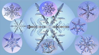 @Albright_C
what’s so special?
 