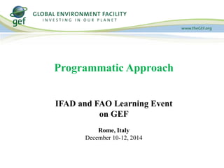 Programmatic Approach 
IFAD and FAO Learning Event 
on GEF 
Rome, Italy 
December 10-12, 2014 
 