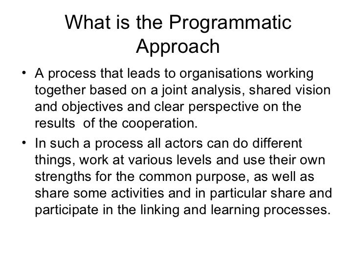 Programmatic approach (appreciation process - Feb. 2010)