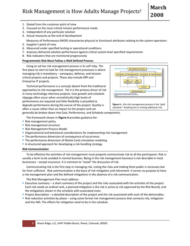 Programmatic risk management | PDF